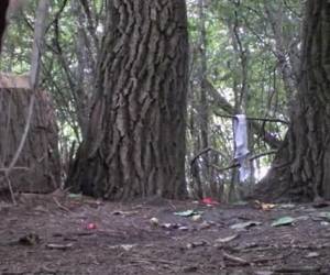 Plassende vrouwen in het bos die stiekem gefilmd worden.Plassende vrouwen in het bos die stiekem gefilmd worden